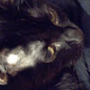 Meet your Posher, Christian